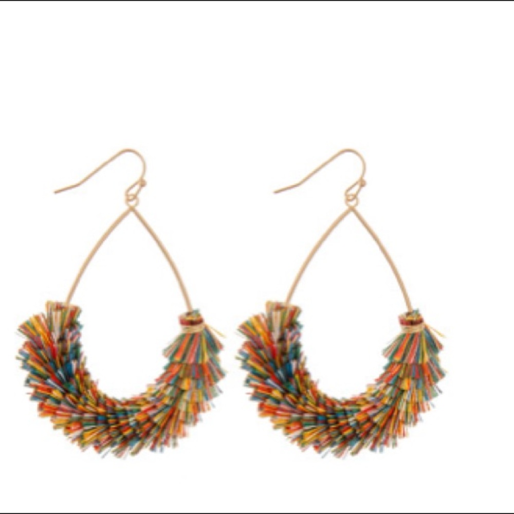 Multi-color Fringe tassel earnings
